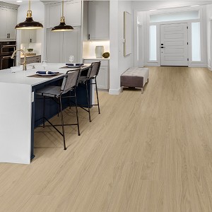 Lacebark Elm